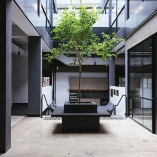 Picture of Green Facades and Planter Boxes