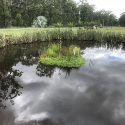 Picture of Floating Wetlands