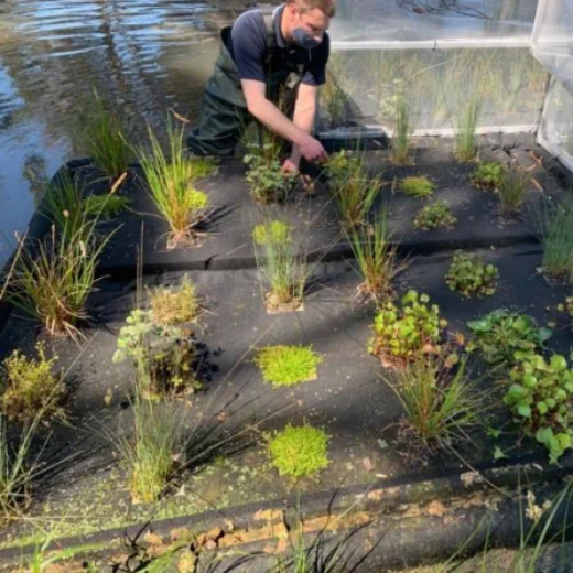 Picture of Floating Wetlands