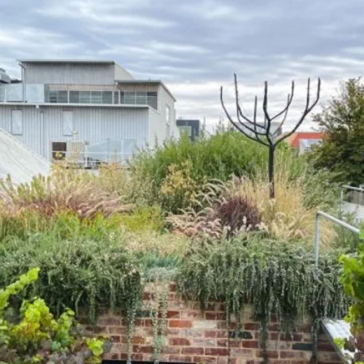 Picture of Roof Gardens