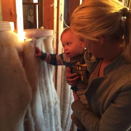 Picture of R20 Batt Insulation - 16" OC