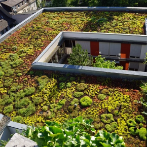 Picture for category Site