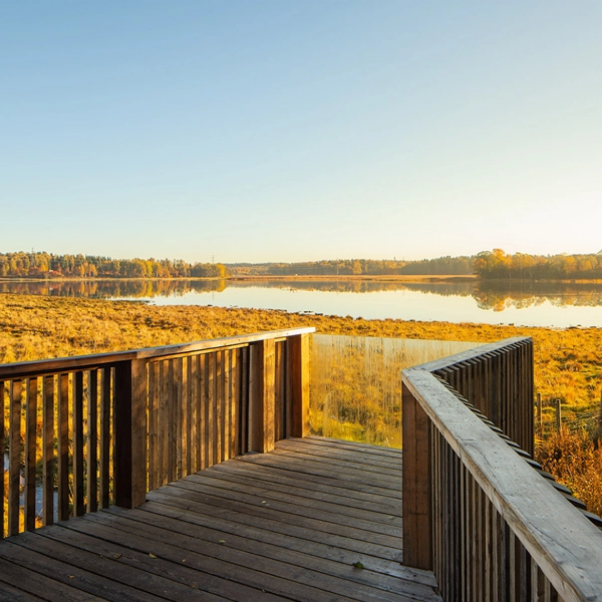 Studio Puisto - Nattours Accessible Recreational Path Project