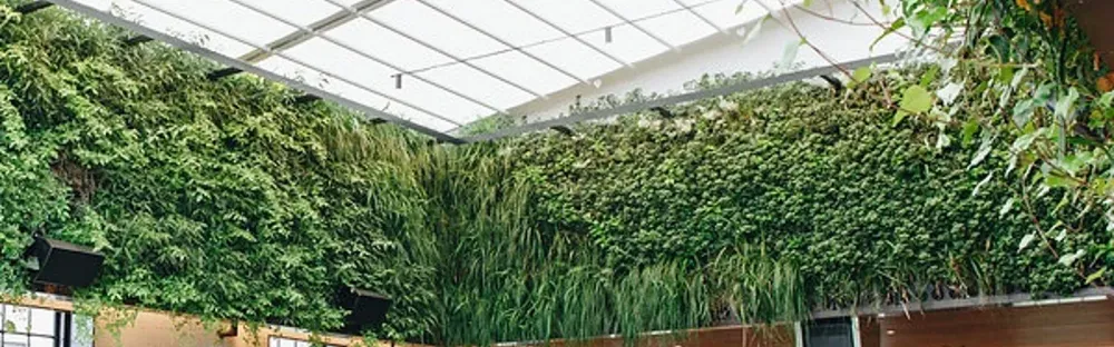 Junglefy - Paragon Hotel Project Tile