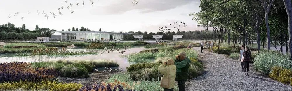 McGregor Coxall - Lingang Bird Airport Project Tile