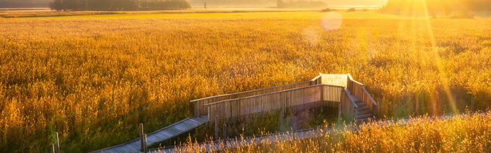 Studio Puisto - Nattours Accessible Recreational Path Project Tile
